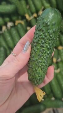 ��������� ������ �� ������ ��������� �� �����, �� ���� �� ����� ��������