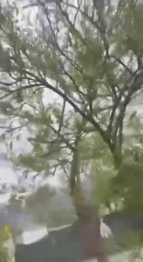 ����� �������� �������� � ������ ������