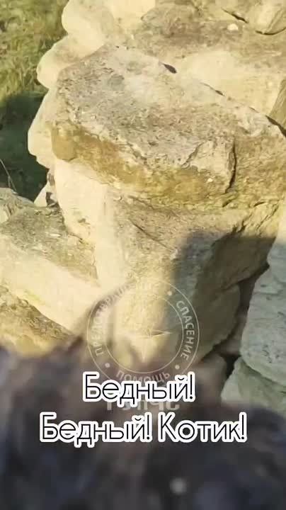 ��������� ��������� �������� ���� ��-��� �������