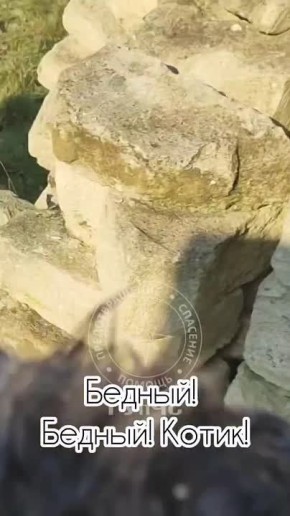 ��������� ��������� �������� ���� ��-��� �������