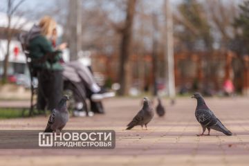 �� ��������� ������ ��������� �� 10-15 �������� �����, � �������������