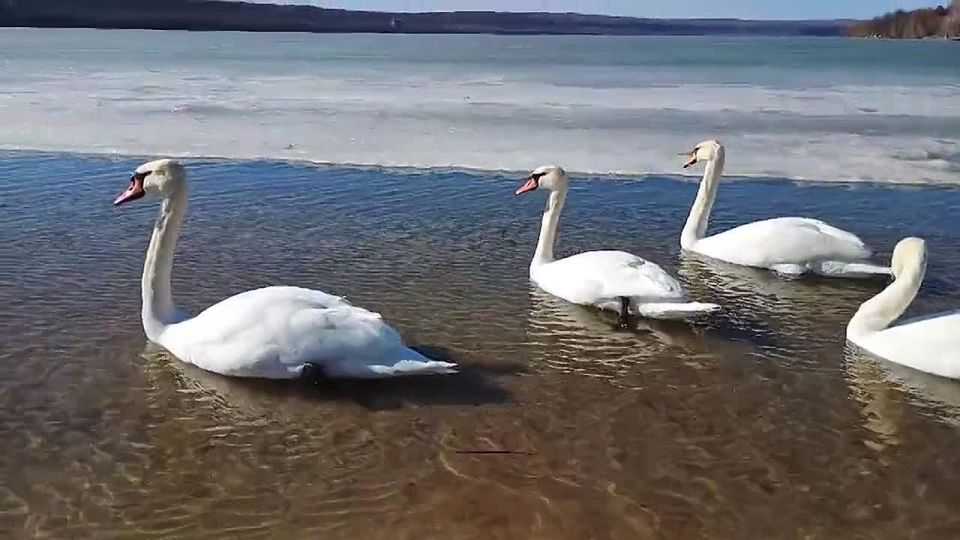 ������ �� ������ ������� � ���������� ��� ��������� ���� ��� ����