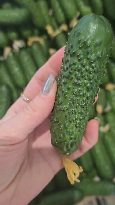 ��������� ������ �� ������ ��������� �� �����, �� ���� �� ����� ��������