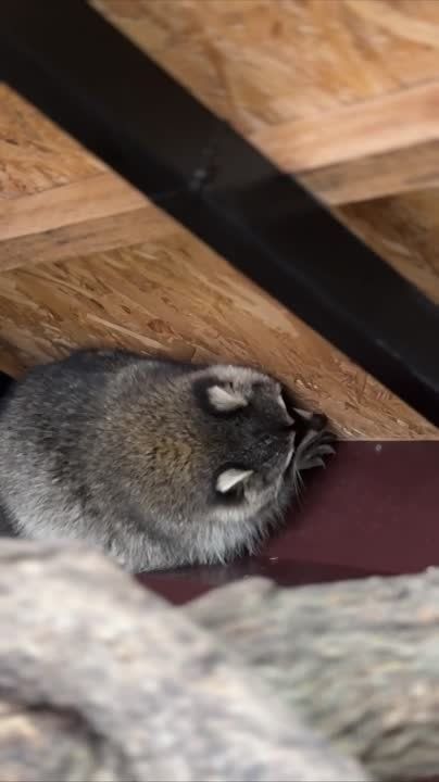 �������� � �������������� ����� ����������� ������