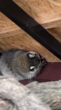 �������� � �������������� ����� ����������� ������