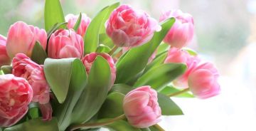 � ������������� ������� ���� ����� �������� � ����� � ���� ����������� ������� ���������� �� +13 �C