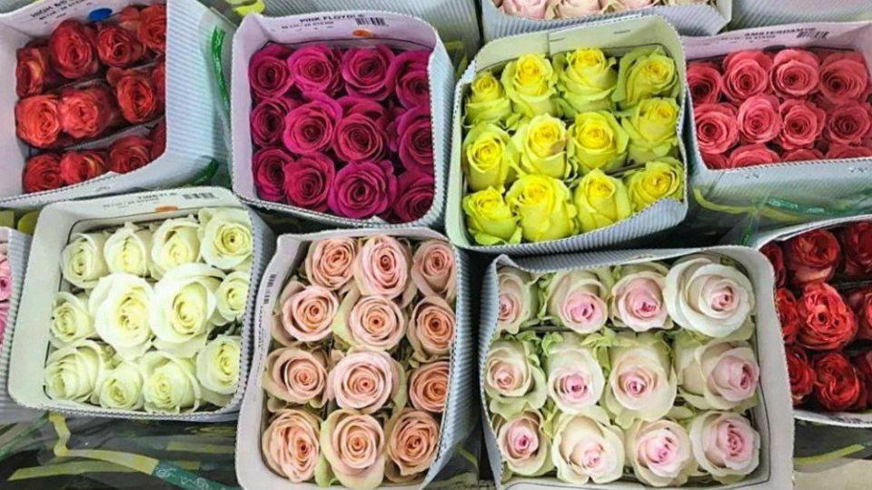 ����� 8 ����� ������ ������ � ������������� ����� ����� ��� �� 85%