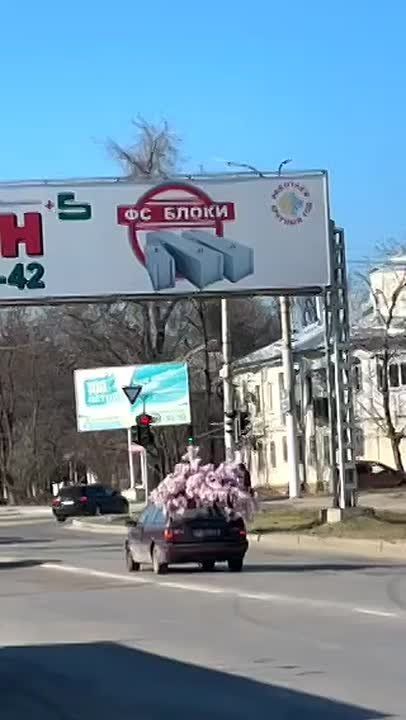 Кто-то везёт себе весну на дом