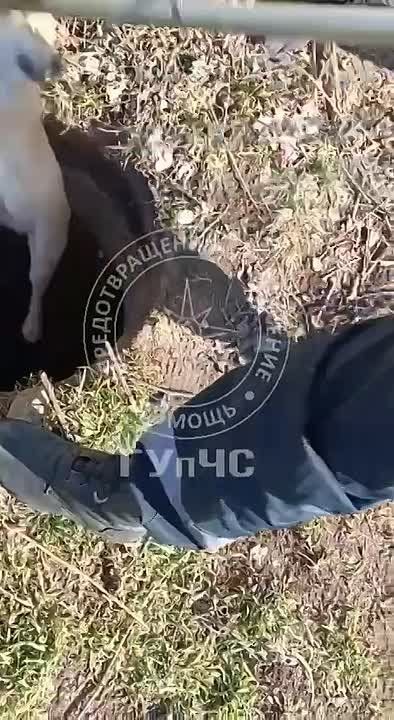 ������ �����. ���� 9 ����� ������ ������ �������� ���� ���������� ������� ������ ������� � ������� ������� ��� �� �������