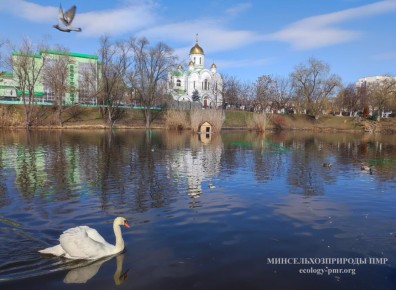 ������� ����!. ������� ������ �� �������, 9 �����