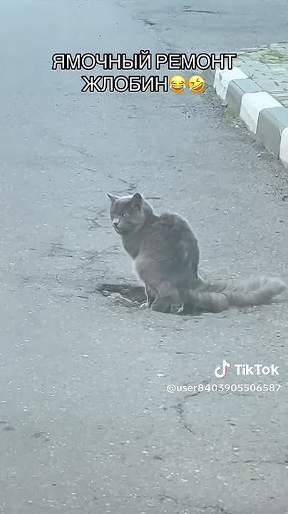 ����������� ���, ����������� ��������, ������� ��������, ��� �����