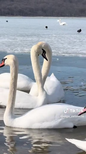 ������� �� ������� ����� �� �������� � ���������� �� ��������� �����