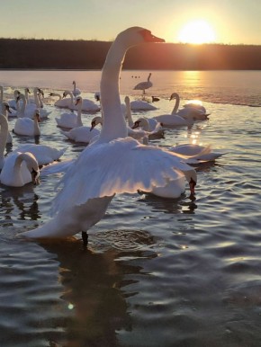 ��������� ������ �� ������������ �������������