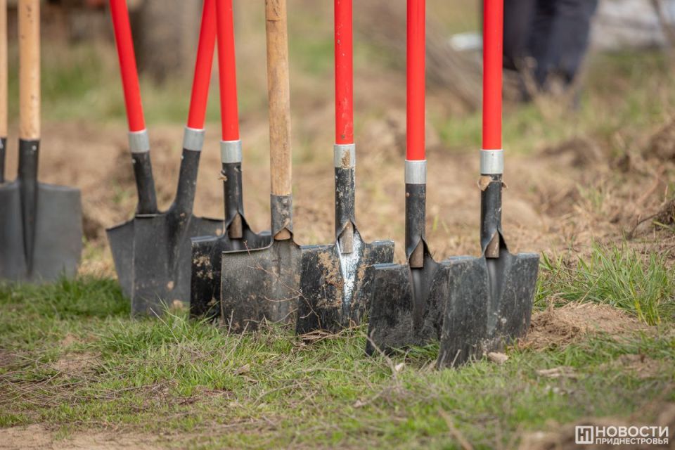 ����� �������������� ������� �������� ������������������� ������ �� ������ � ��������������� ��������� ������� ����� ����