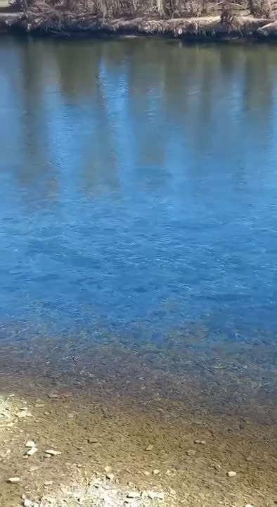 ������ �� ������ ������� �������� �������, ��� �� ������� ��� �������