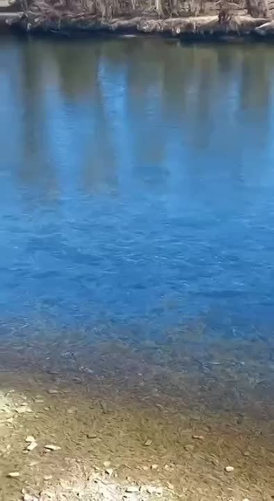 �� ������� � ������ ���� �������� (����� �������) �������� �����, ������� �� ��������