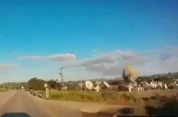 ��������� ������ ������ "��������" �� ���� ����������� ����� �������