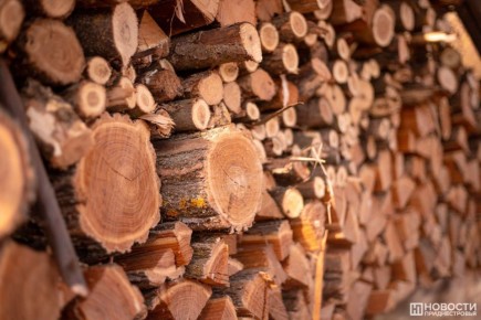 �������� �������� ��������� ����������� ����������� �������������