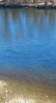 �� ������� � ������ ���� �������� (����� �������) �������� �����, ������� �� ��������