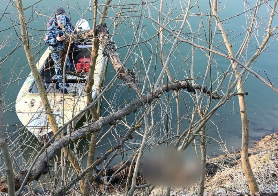 � ������� ������ 79-������ ������ ���� �������