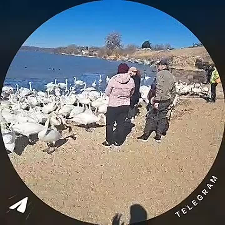 ������� ���� ������� �� ������������ ���� ����� ���������������������� ������