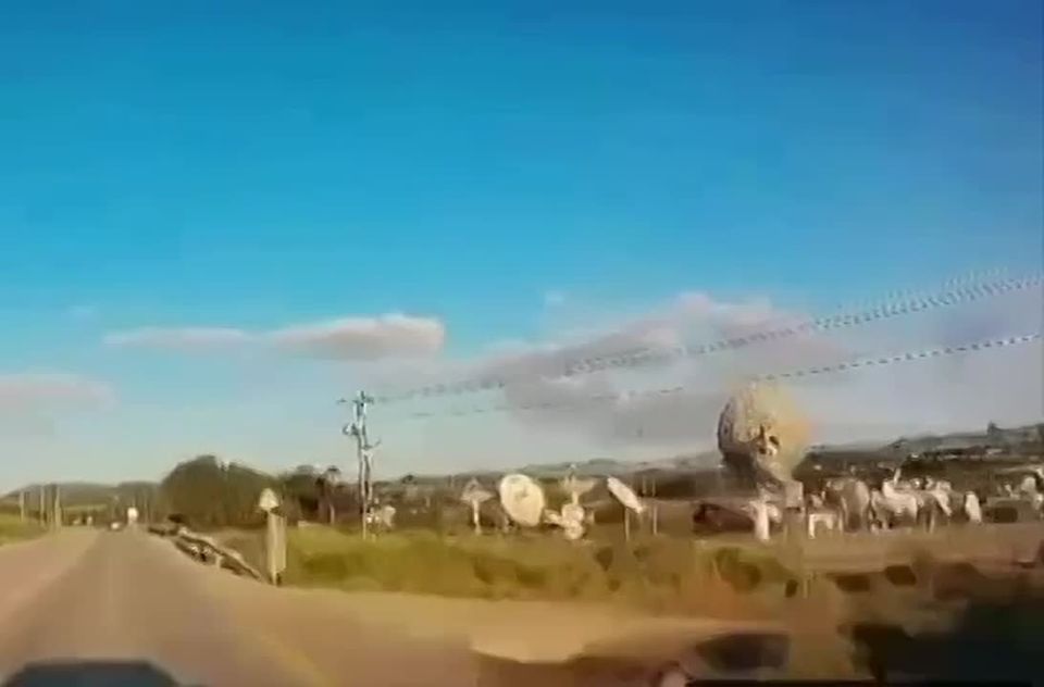 ��������� ������ ������ "��������" �� ���� ����������� ����� �������