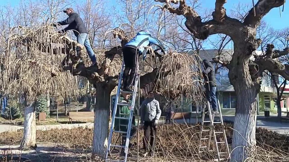 ��������� ������������� � ������ ������ ������� ���������