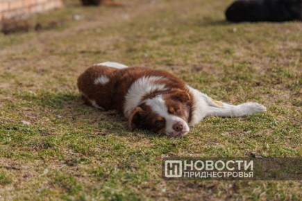 ���� � ������ ����� �������� ��� ������� � ������, ������� ������� ��������������� �������� ������� ���������