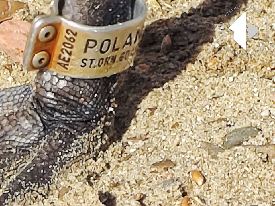 ���������� ����������, ��� ������, �������� �� ������������ ����, ��������� �� ������