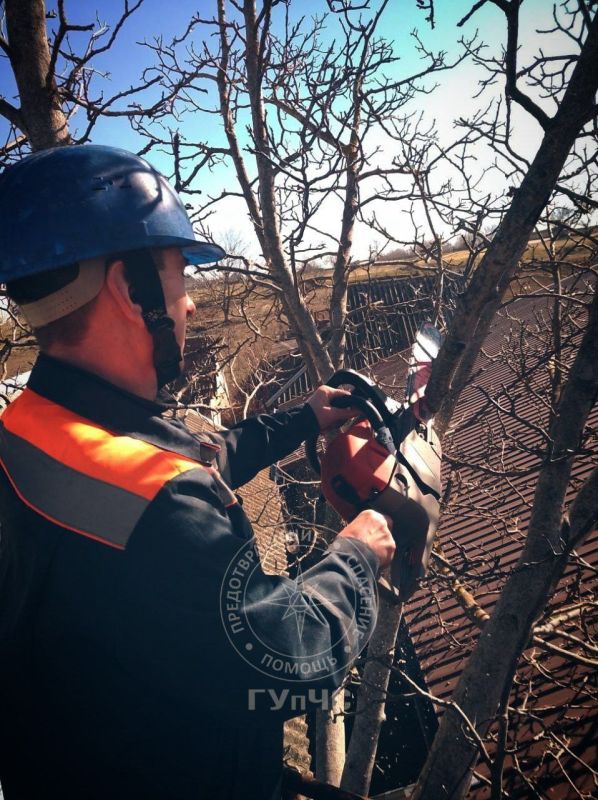 ������ ������ ����� �� ����� ���� � �������