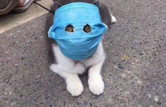 ���� ������ �������� ������������ ���������� ������� � ��, �������� ���� (����� ����) ����� ��� �����