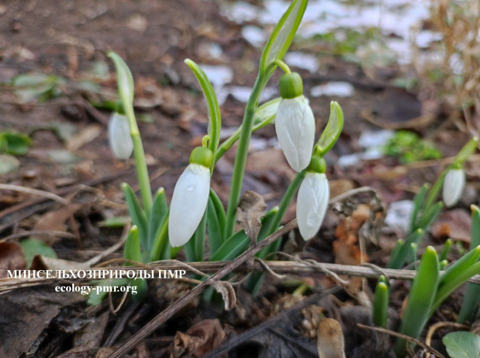 Доброго утра!. Прогноз погоды на сегодня, 11 марта