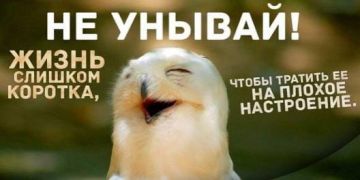 ������� � ���� ������� �� ������