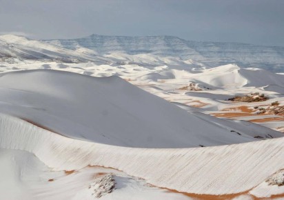 � ������� ������ ������ ��������