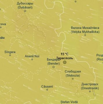 ������ +15