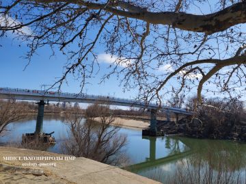 ������� ����!. ������� ������ �� �������, 12 �����