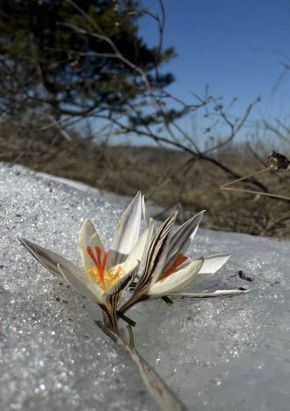 ���������� �������� ������ ���� � �������� ���� ��� ���������� � ������������� ������