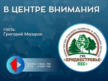 ����� � ���������: ������� �����