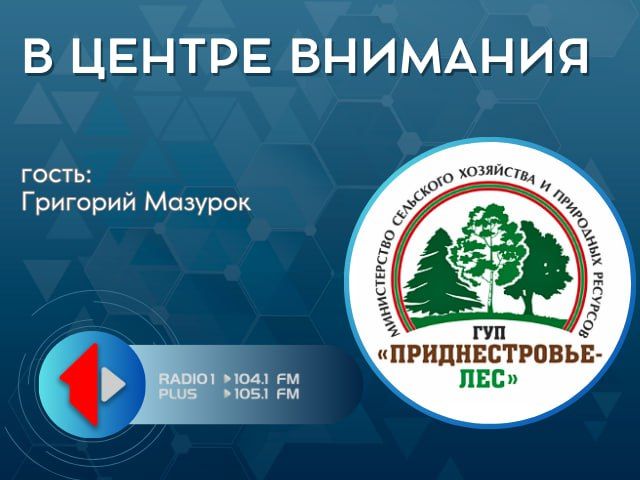 ����� � ���������: ������� �����