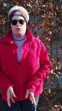 ��������������� ������ ���������� ���������-��������� �� ����������