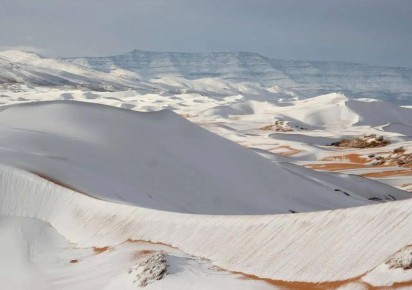 � ������ �������� ����� ����