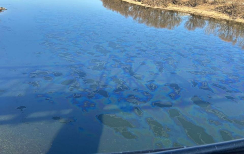 Нефтяное пятно в Днестре не достигло Каменского района, сообщает госадминистрация