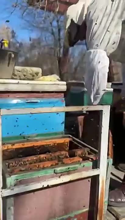 ��������� ���������, ���������� �� � ����� ��� ��� ��������� ����� ����