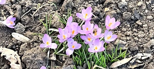 ����� ����� ���� ��� ������� �������