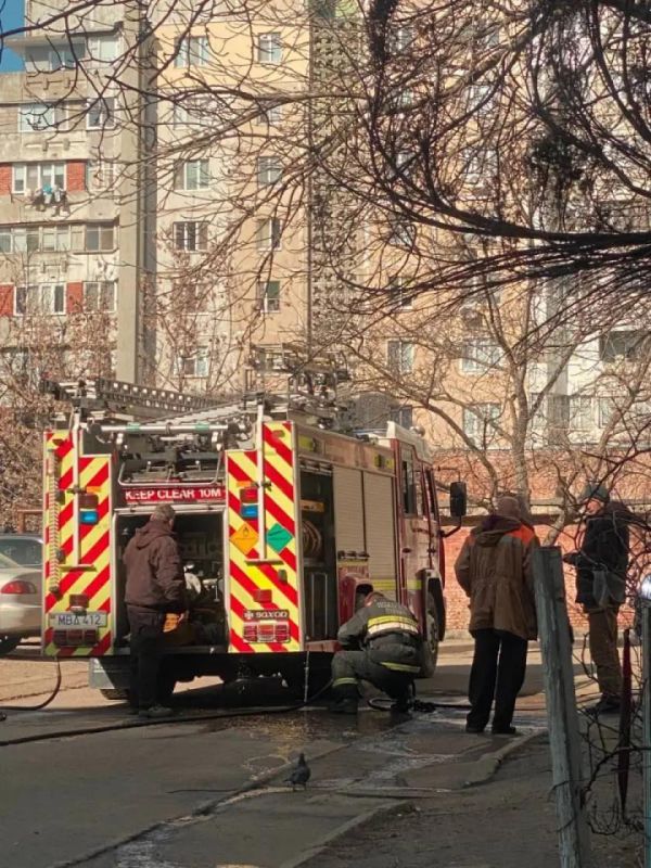 На Красных казармах прямо сейчас горит квартира, пишут в сети