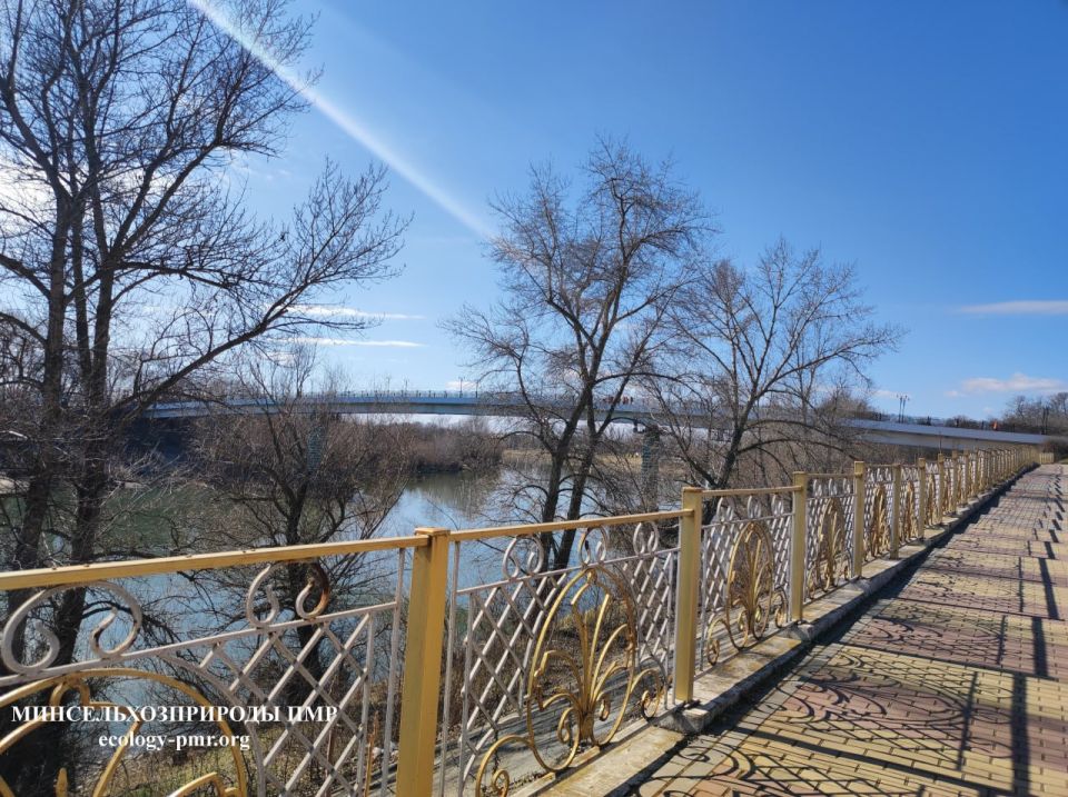 ������� ����!. ������� ������ �� �������, 13 �����