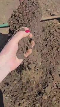 ��� ���� �� ����������. ����� � ����� ���� �� ������ 88 ��, ������ ����