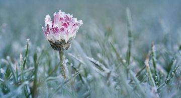 �����������, �����, ������ ���� � ������ ���������: ����� ������ ��� �������������