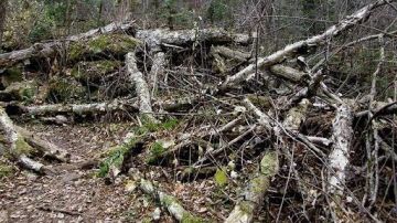 ��������������� ������������� ����������� ������� ���������� ������ � ����������� ��������� � ����� �������� ���������