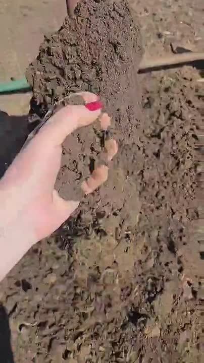 ��� ���� �� ����������. ����� � ����� ���� �� ������ 88 ��, ������ ����